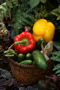 Close-up of bell peppers in basket