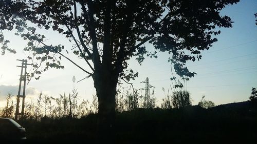 Silhouette trees on landscape against clear sky