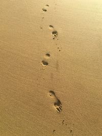 High angle view of footprints on sand at beach