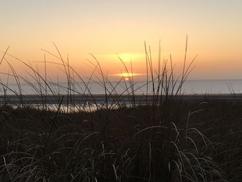 Scenic view of sea at sunset