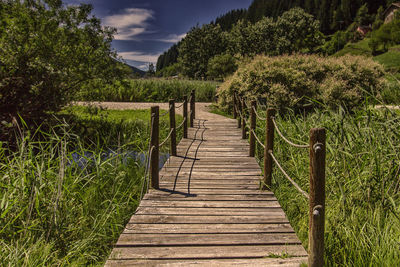 Boardwalk amidst trees against sky