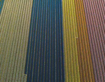 Full frame shot of agricultural field