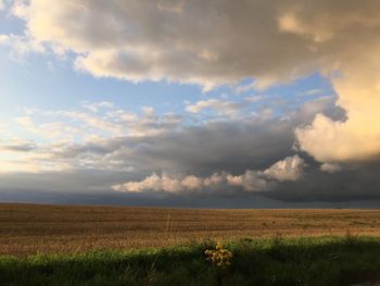 rural scene