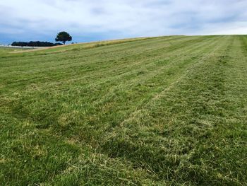 Scenic view of grassy field against cloudy sky