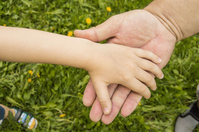 Cropped hands pf grandfather and child over grass