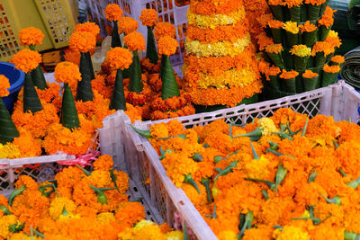 High angle view of orange flowering plants at market