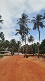 Low angle view of palm trees on field against cloudy sky