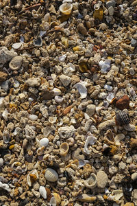 Full frame shot of pebbles on beach