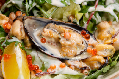 Close-up of fish served in plate