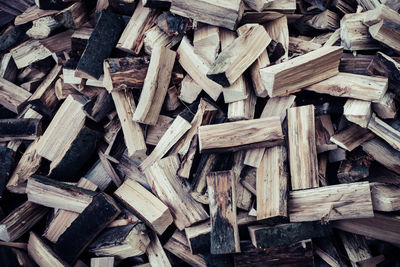 High angle view of logs on field in forest