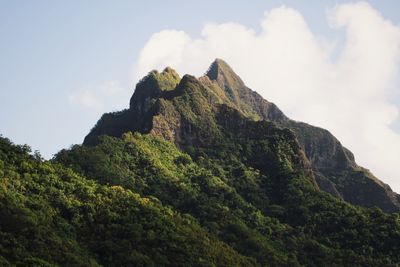 Low angle view of mountain