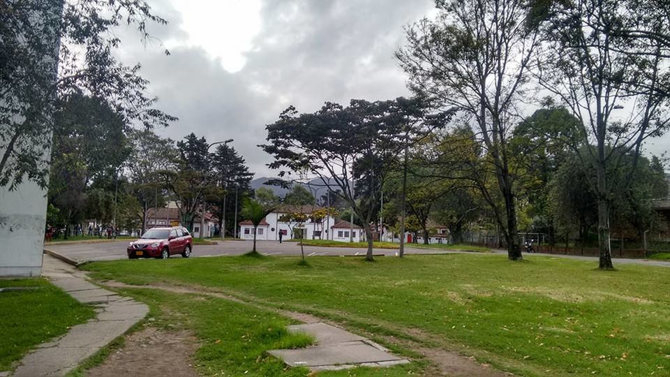 tree, transportation, grass, sky, cloud - sky, park - man made space, footpath, park, travel destinations, city life, cloud, lawn, day, growth, outdoors, tranquility, cloudy, town, tranquil scene, green color