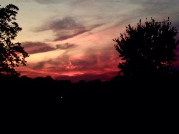 Silhouette trees against sky at sunset