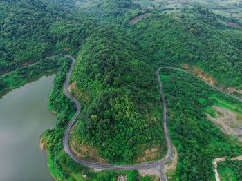 High angle view of trees on landscape