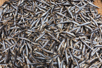 Full frame shot of fish for sale in market