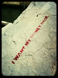 Close-up of red rose