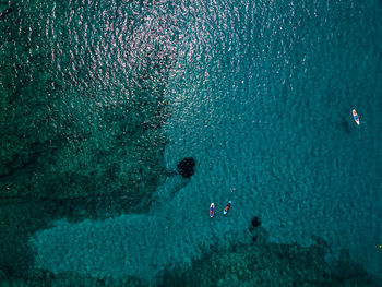 High angle view of people swimming in sea