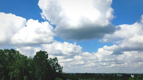 Trees on landscape against sky