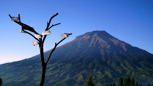 Scenic view of mountains against clear blue sky