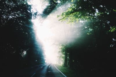 Road passing through trees
