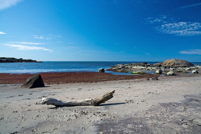 Scenic view of beach against blue sky