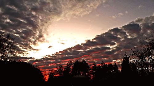 Low angle view of silhouette trees against sky during sunset