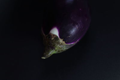 Close-up of over black background