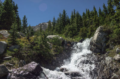 River flowing through rocks