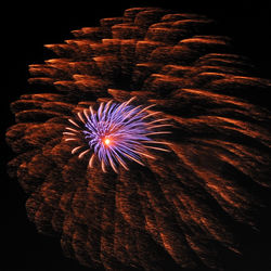 Close-up of illuminated flower at night