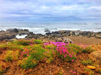 Scenic view of sea against cloudy sky