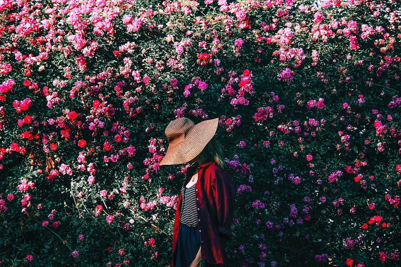 PINK FLOWERING PLANTS ON FIELD AGAINST RED FLOWERS