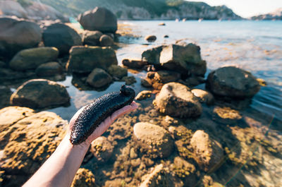 Person holding rock in sea