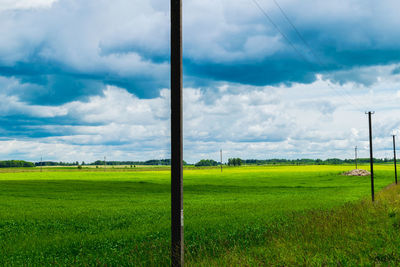 Scenic view of field against sky