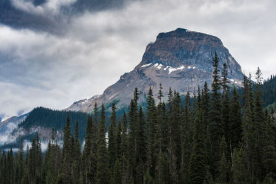 Scenic view of mountain by trees against cloudy sky