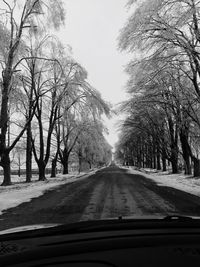 Empty road along trees