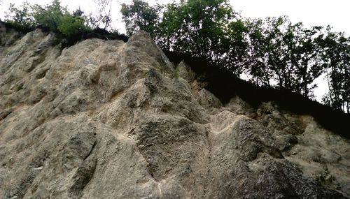 Low angle view of rock formation amidst trees against sky