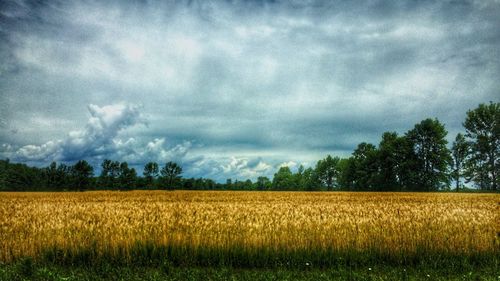 Scenic view of field against cloudy sky