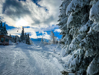 snow