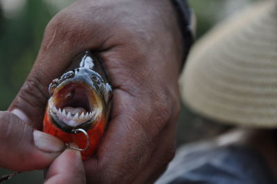 Close-up of man holding fish