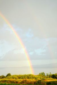 Scenic view of rainbow over field against sky