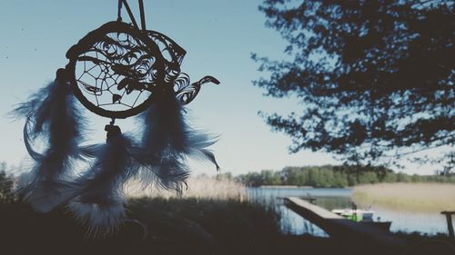 Close-up of feather hanging on tree against sky