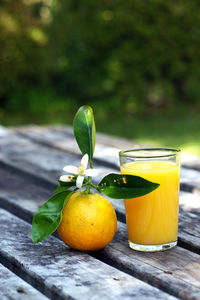 Close-up of orange with juice on table