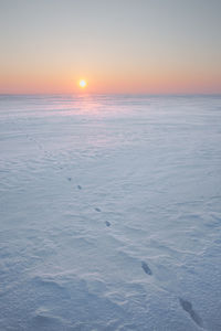 Scenic view of snow covered land during sunset