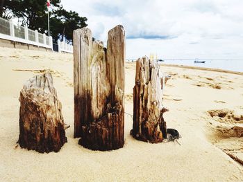 Panoramic view of wooden post on beach against sky