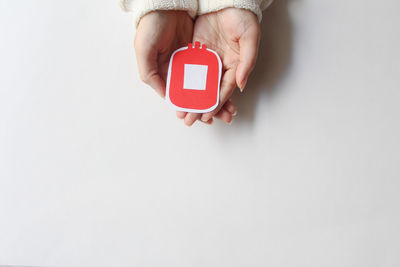 High angle view of toy on white background