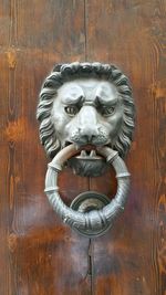 Close-up of cat on wooden door