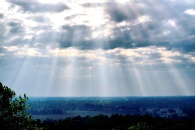 Sunlight streaming through trees on landscape against sky