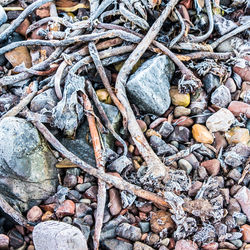 Full frame shot of pebbles