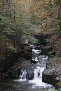 Stream flowing through rocks in forest