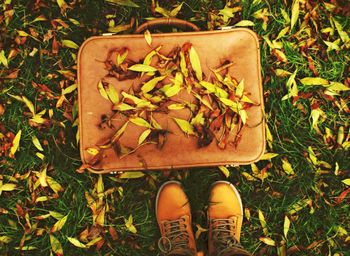 Low section of shoes on leaves on grassy field